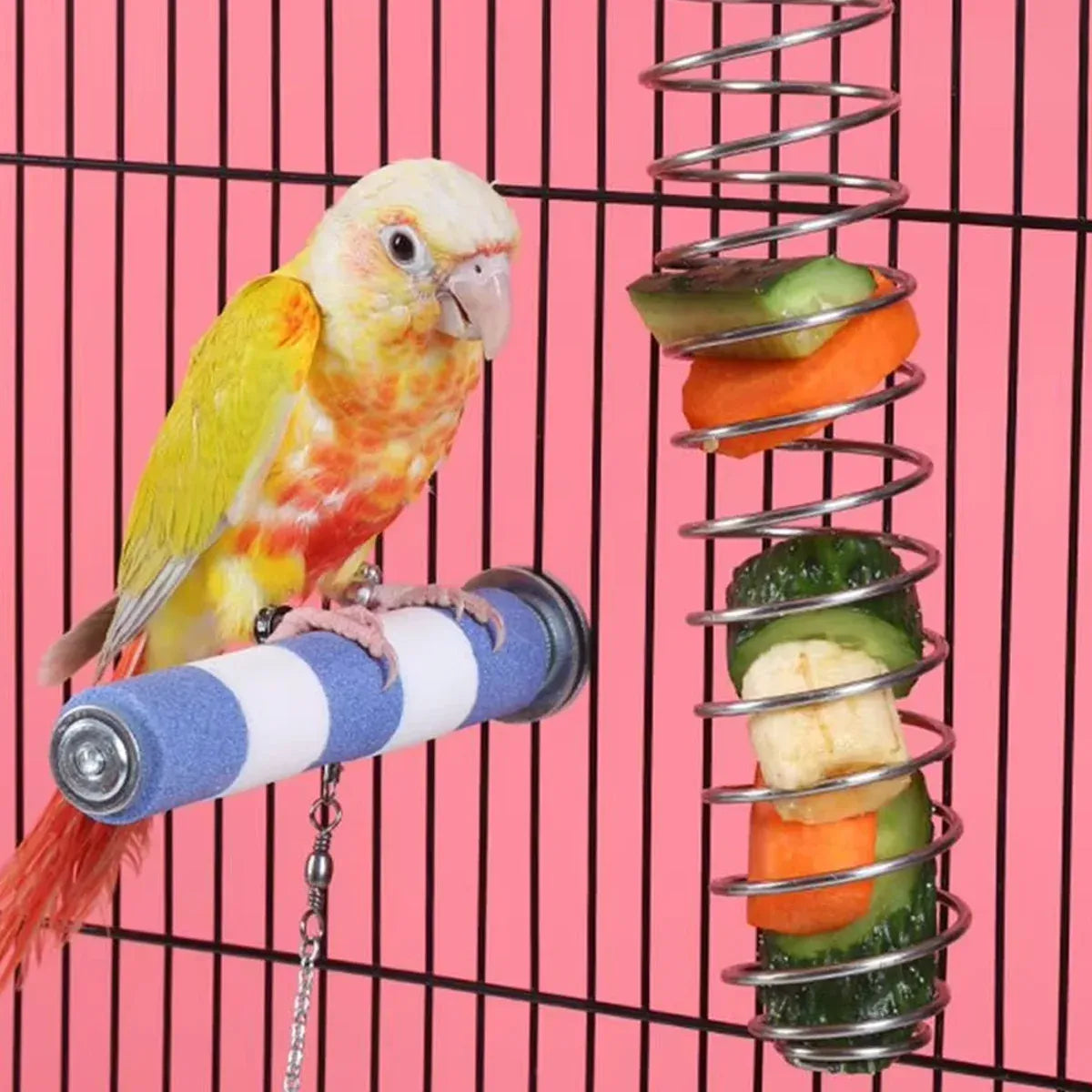 Stainless Steel Parrot Feeder Hanging Type Durable for Bird Cage Food Container