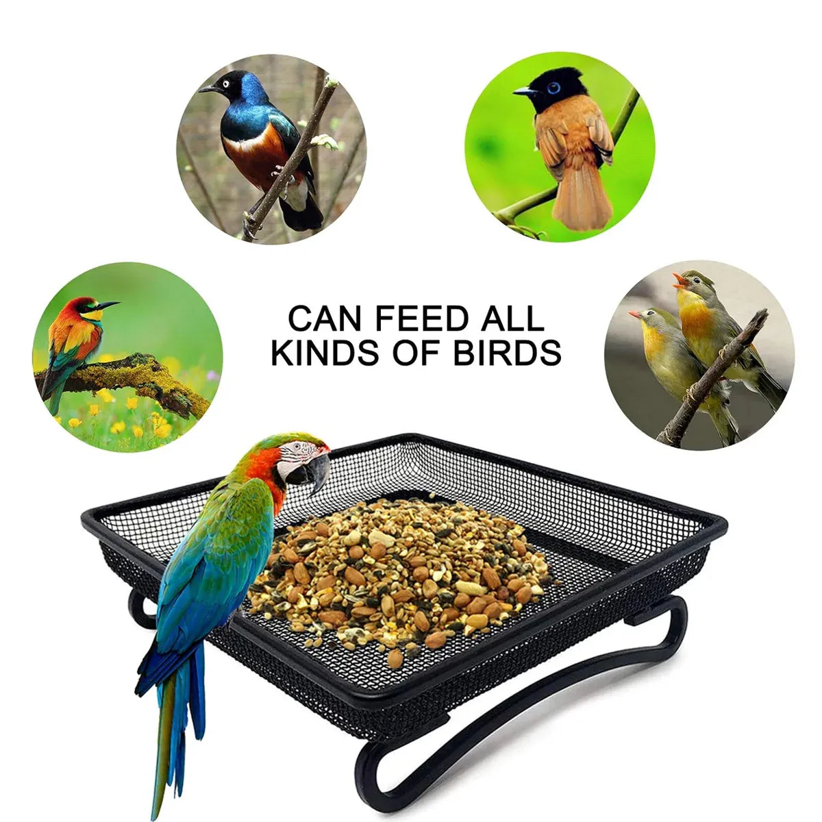 Bird Feeder Metal Square Ground Mesh Tray Feeder Garden Yard Wild Bird Feeding