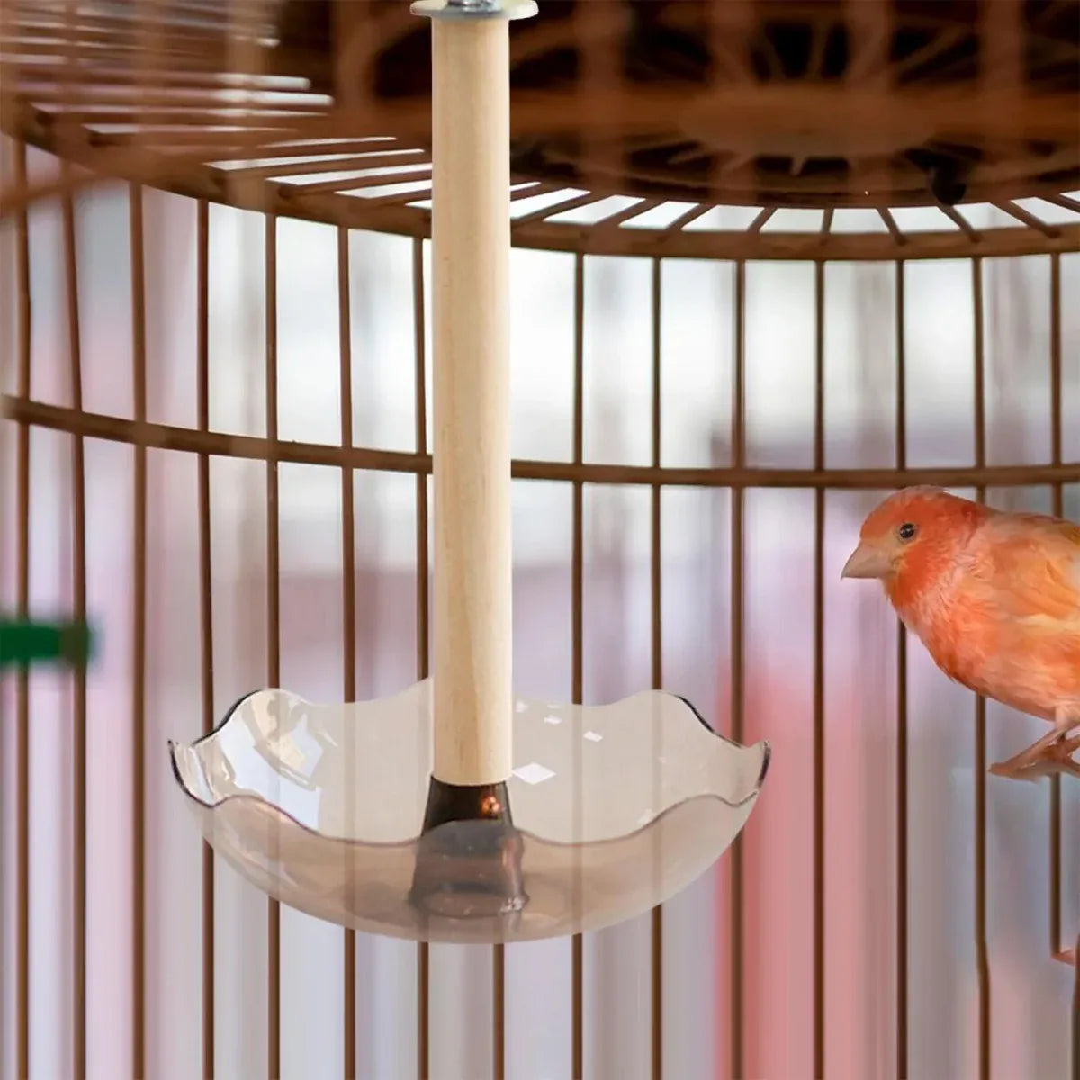 Hanging Bird Feeder for Garden Yard Patio Wild Birds with Easy Fill Design