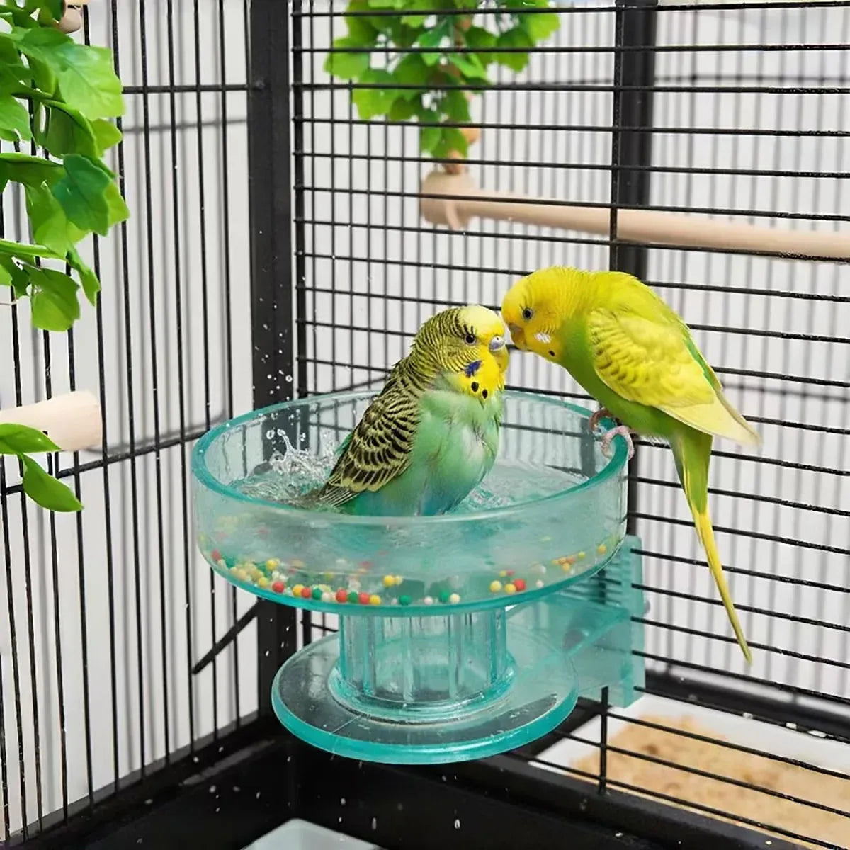 Bird Cage Bath Feeder Bowl Removable PP Plastic Quick Lock Parrot Cockatiel