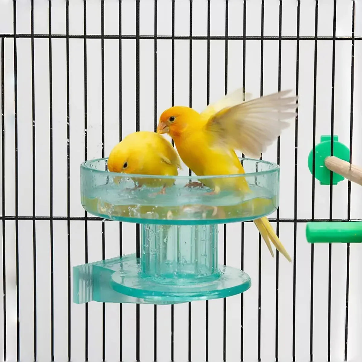 Bird Cage Bath Feeder Bowl Removable PP Plastic Quick Lock Parrot Cockatiel
