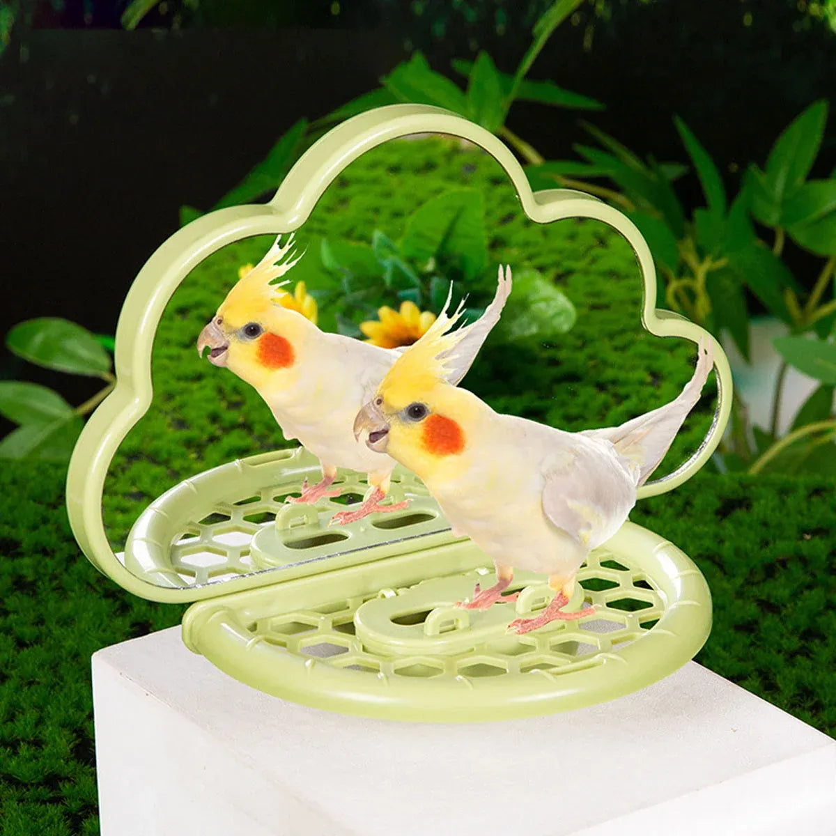 Parrot Bird Mirror Toy Stand Platform Perch Mirror Station Cage Training Play