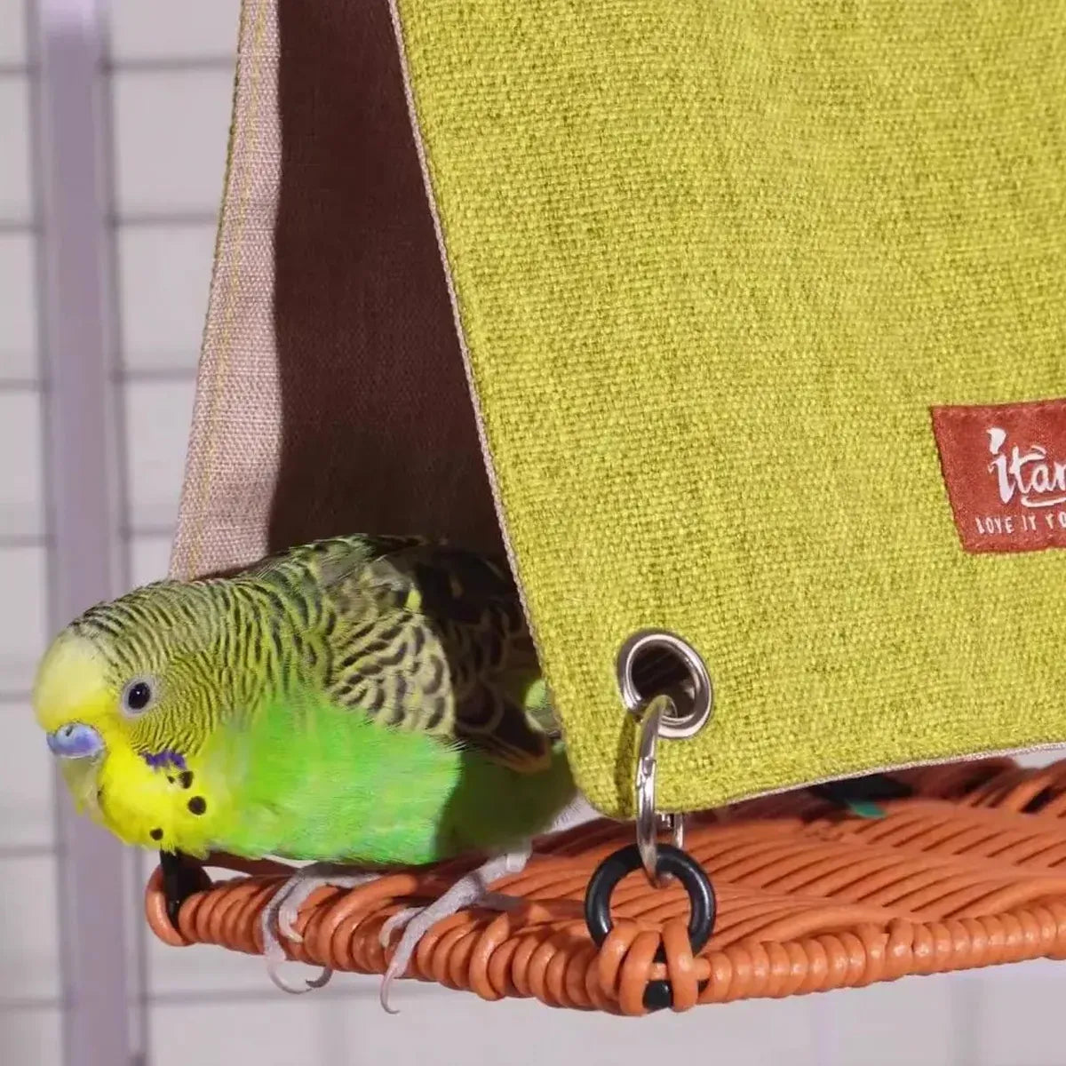 Summer Bird Nest Parrot House Rattan Like Woven Bird Home Breathable Durable