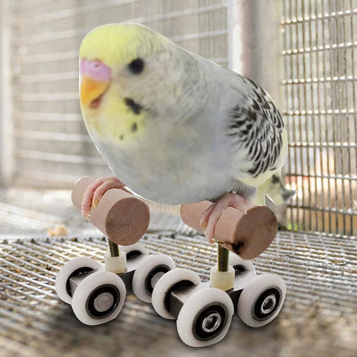 2pcs Parrot Training Pulley Bird Toy Interactive Safe Play for Small Parrots