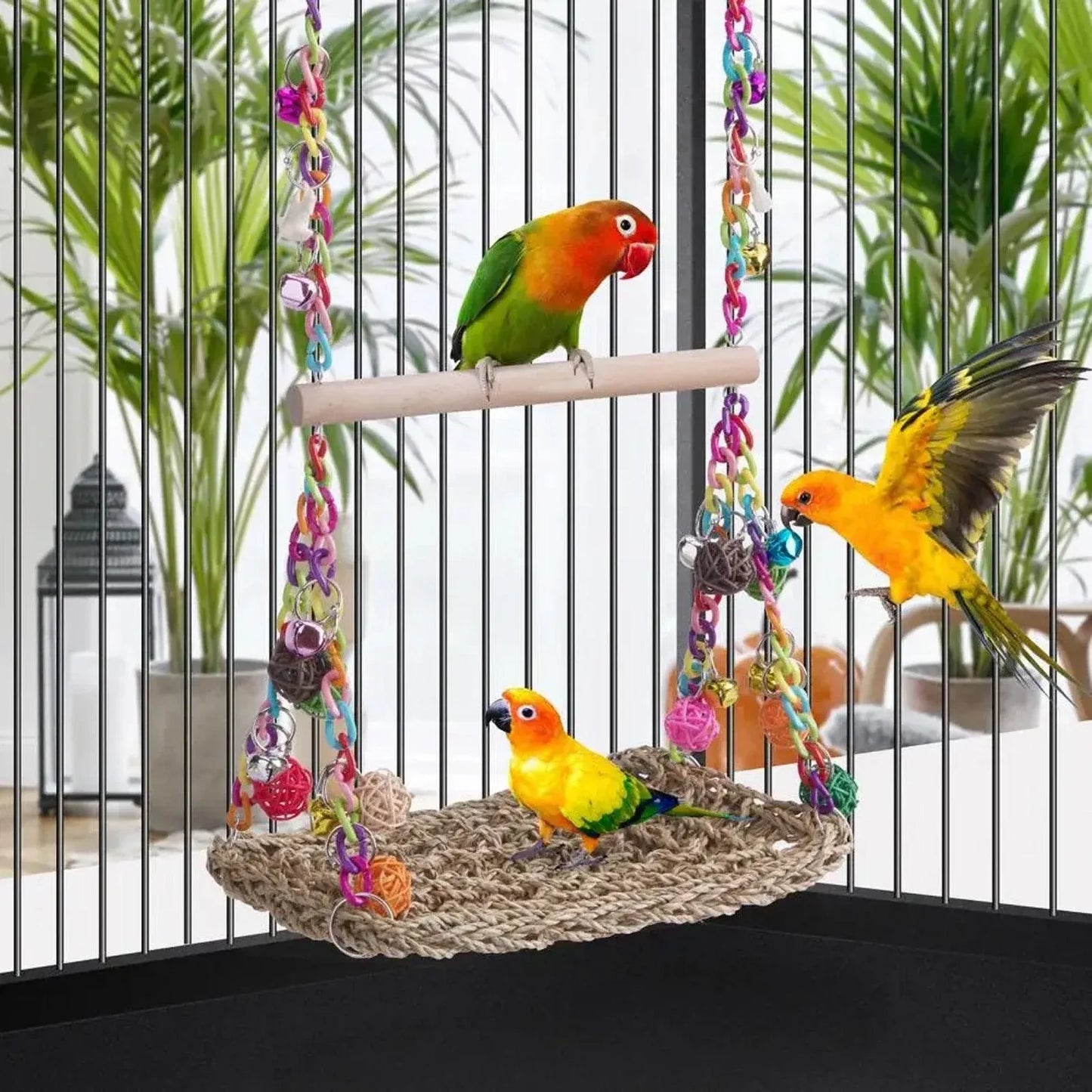 Parrot Hammock Swing Toy with Colourful Chain Double Swing Bird Cage Play