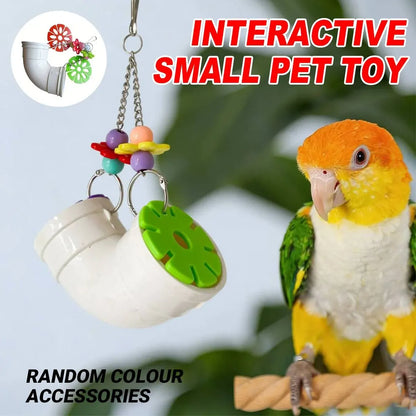 Parrot Foraging Chew Toy Interactive Puzzle Cage Bird Beak Stimulation Acrylic