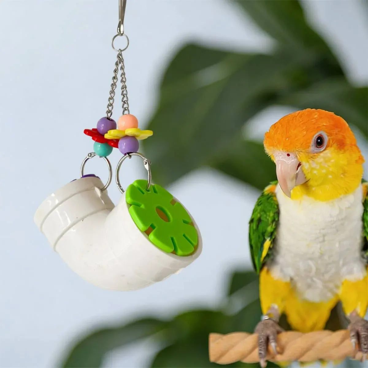 Parrot Foraging Chew Toy Interactive Puzzle Cage Bird Beak Stimulation Acrylic