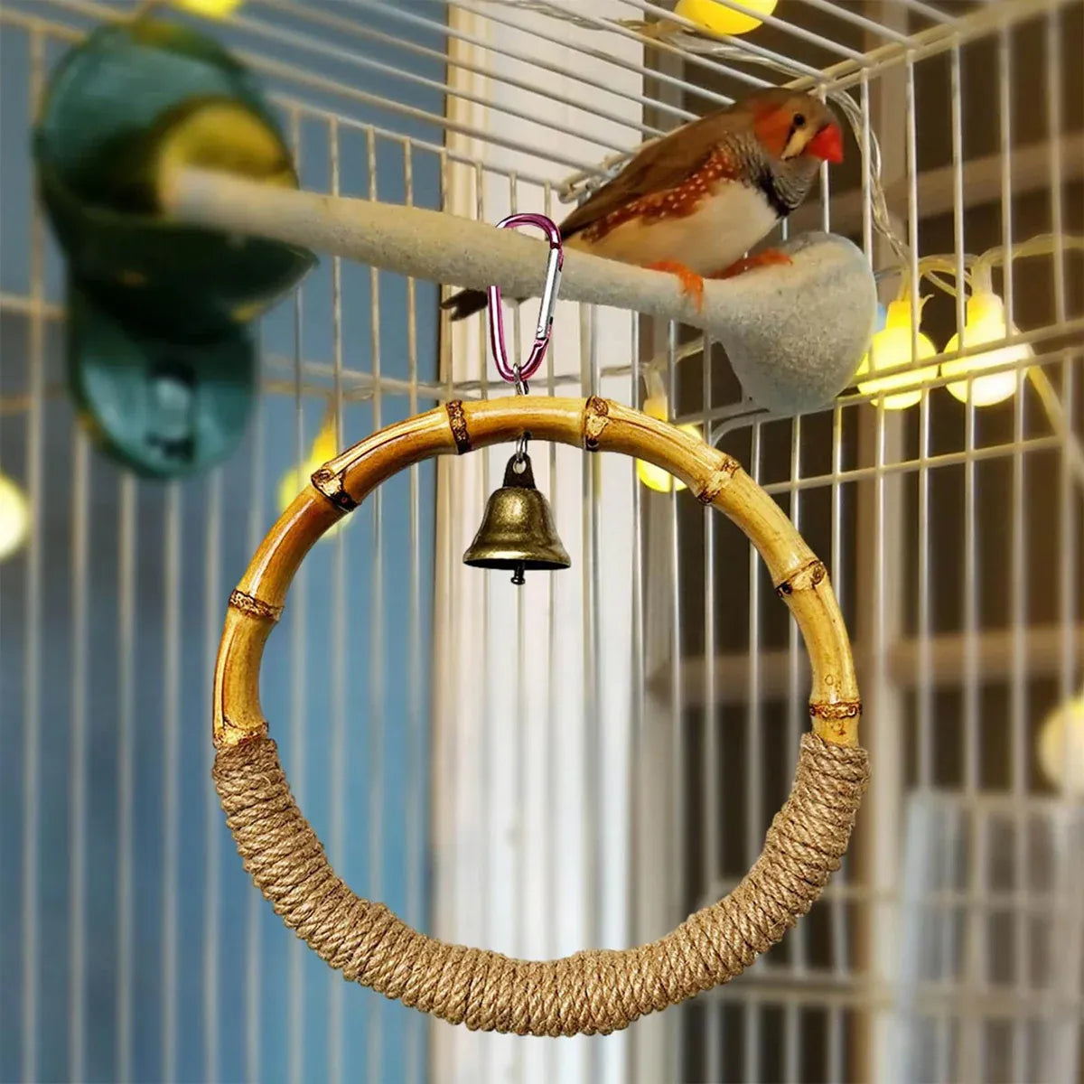 Parrot Bird Toy Hanging Ring with Bell Cockatiel Budgie Conure Foraging Play