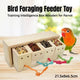 Parrot Foraging Toy Puzzle Training Chewing Toy Pine Wood Sturdy Durable