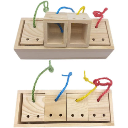 Parrot Foraging Toy Puzzle Training Chewing Toy Pine Wood Sturdy Durable