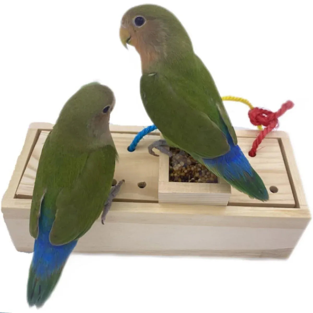 Parrot Foraging Toy Puzzle Training Chewing Toy Pine Wood Sturdy Durable