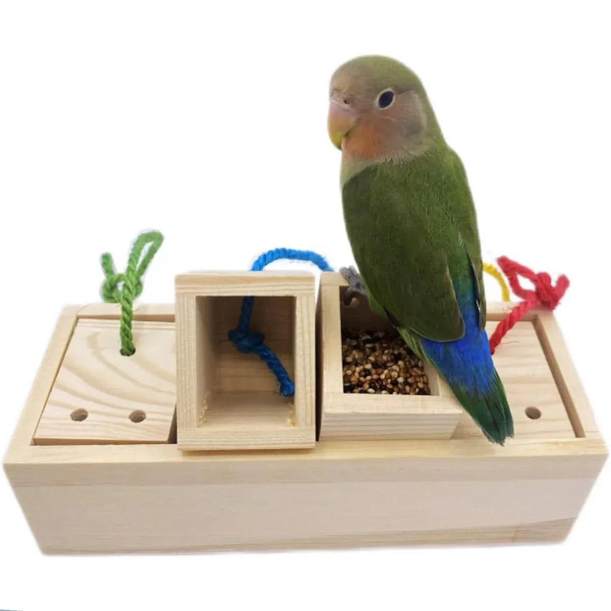 Parrot Foraging Toy Puzzle Training Chewing Toy Pine Wood Sturdy Durable