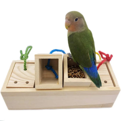 Parrot Foraging Toy Puzzle Training Chewing Toy Pine Wood Sturdy Durable