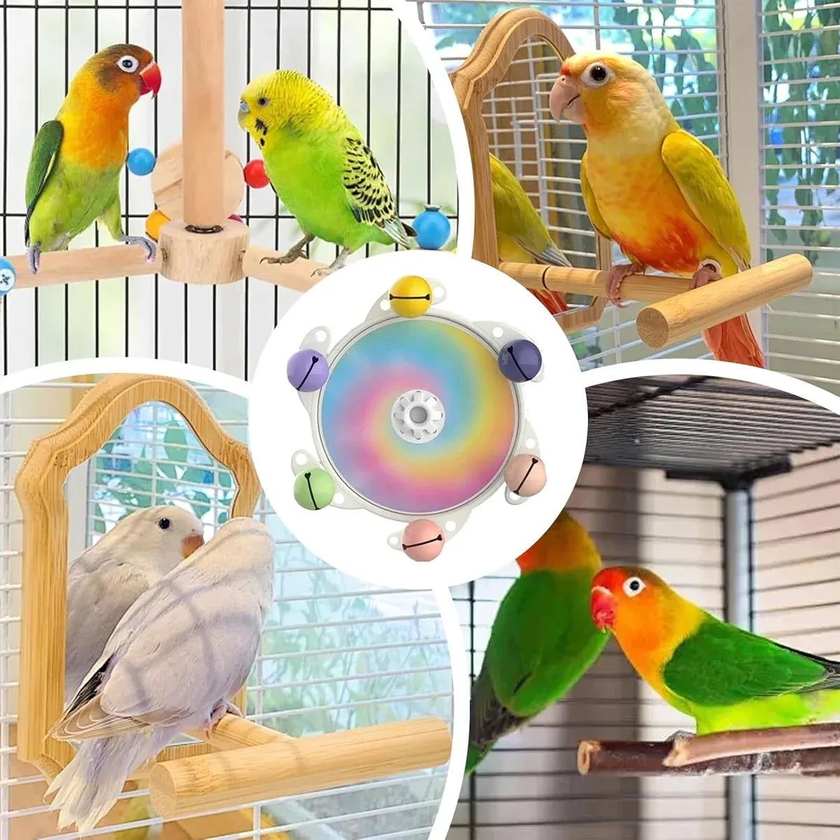Parrot Interactive Educational Enrichment Toy Bird Play Activity