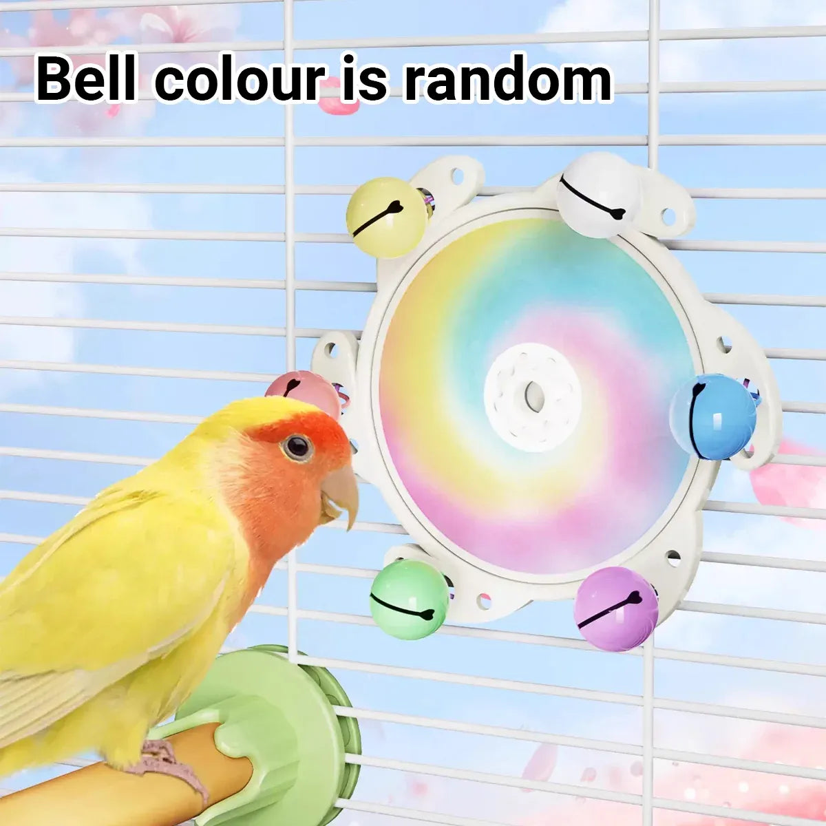 Parrot Interactive Educational Enrichment Toy Bird Play Activity