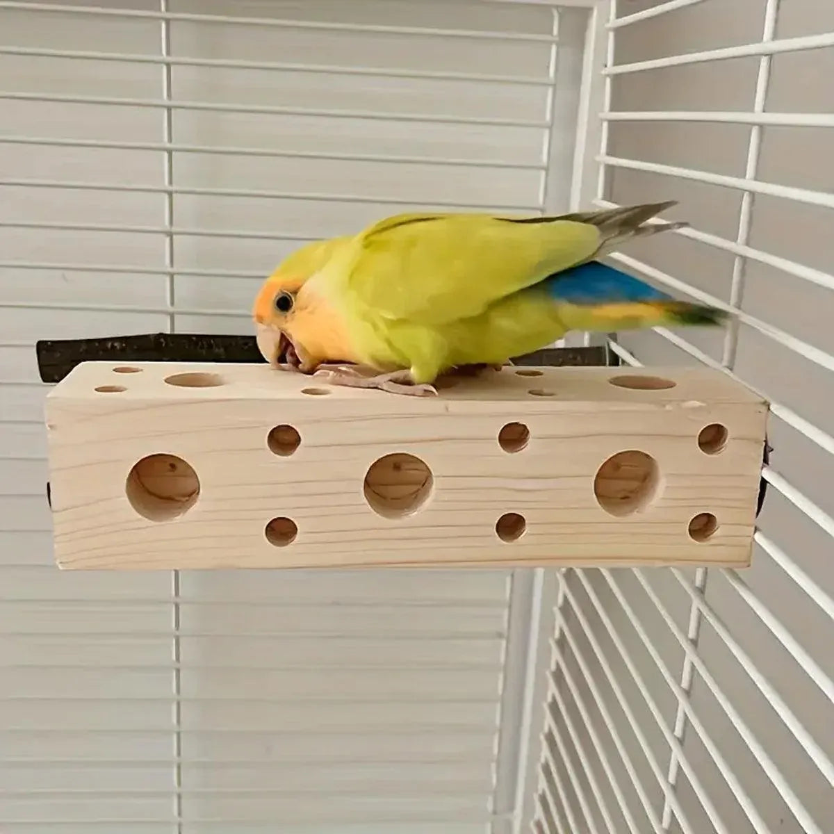 Parrot Chewing Wood Bird Drilling Toys Stand Station Stick for Pet Birds Play