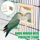 Birds Mirror With Perch Toy Stand Bird Toy for Parrot Parakeets Cockatiels Cage