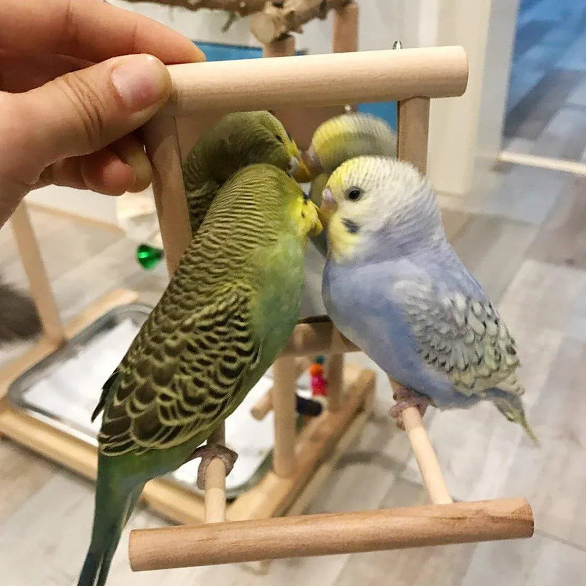 Birds Mirror With Perch Toy Stand Bird Toy for Parrot Parakeets Cockatiels Cage