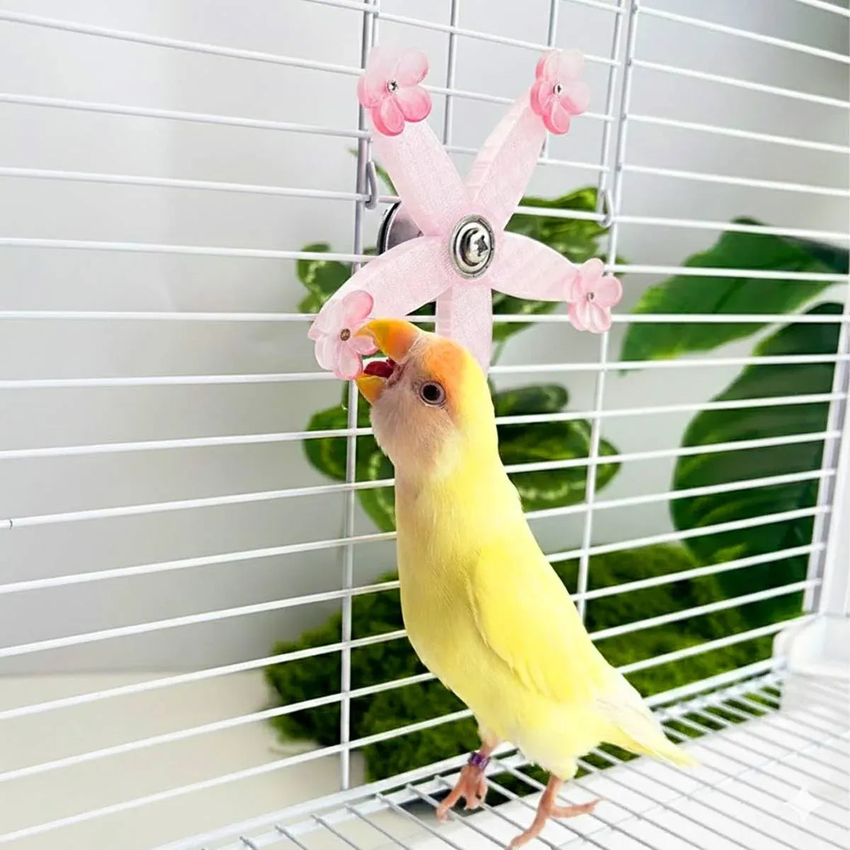 Spinning Windmill Bird Cage Toy 360 Degree Rotation Pecking Boredom Relief Play