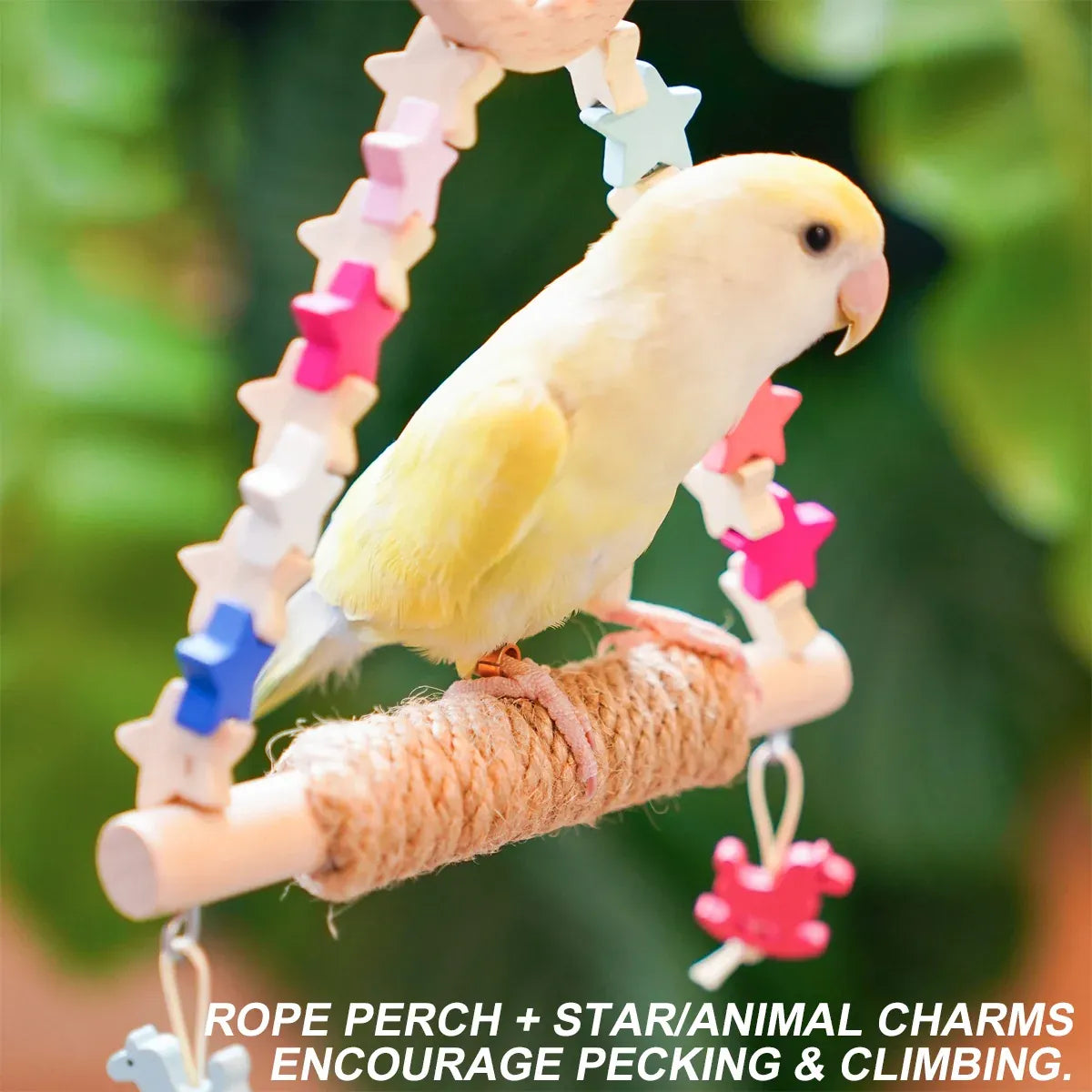 Colorful Parrot Swing Bird Perch Stand Stick Play Toy For Small Medium Parrots