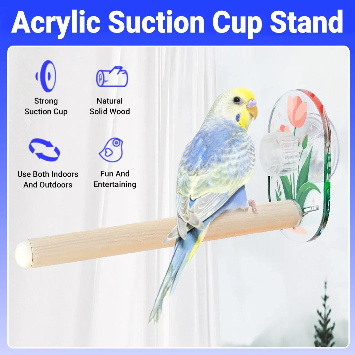 Parrot Acrylic Suction Cup Perch Pet Toy Non Slip for Small Medium Parrots