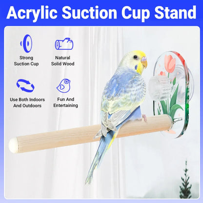 Parrot Acrylic Suction Cup Perch Pet Toy Non Slip for Small Medium Parrots