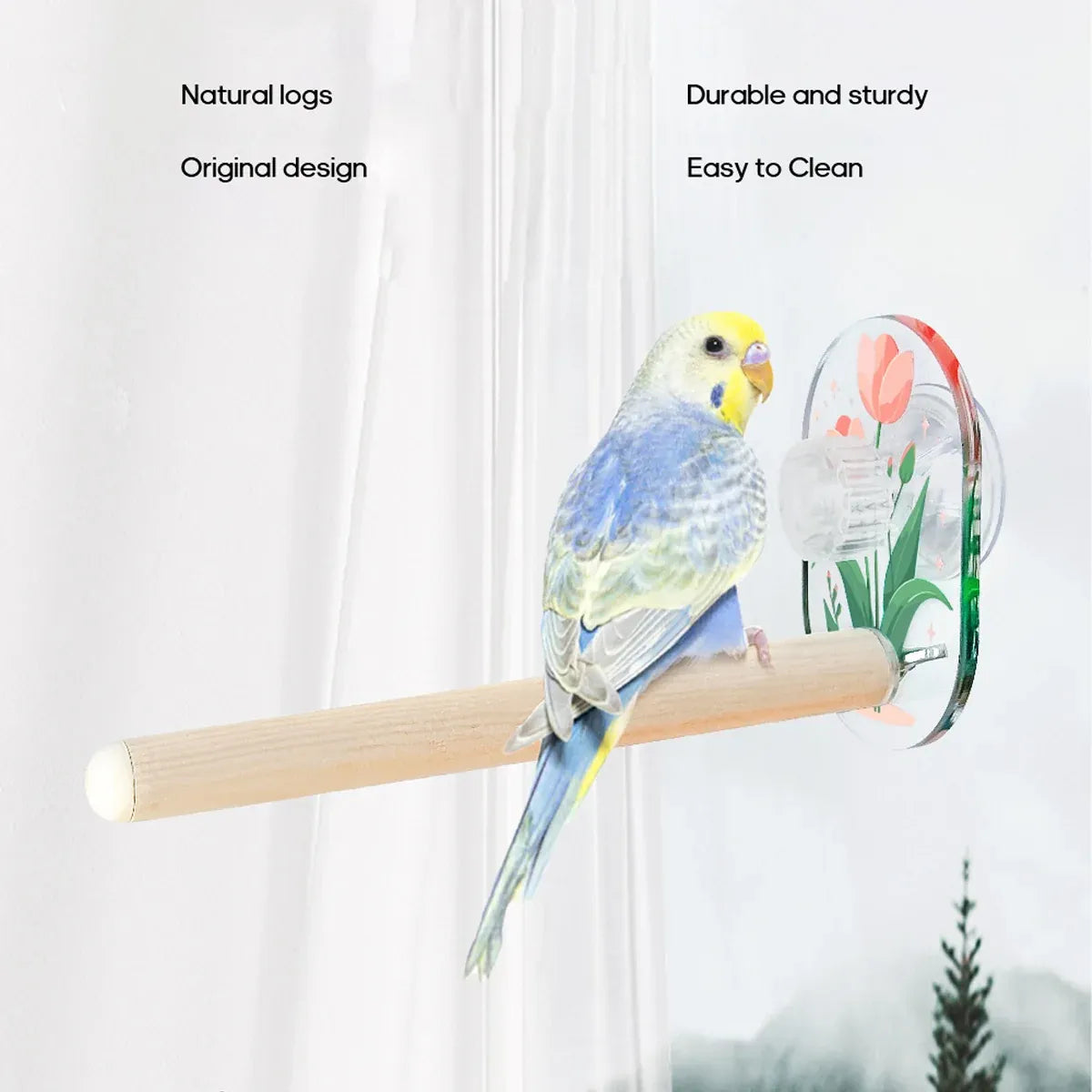 Parrot Acrylic Suction Cup Perch Pet Toy Non Slip for Small Medium Parrots