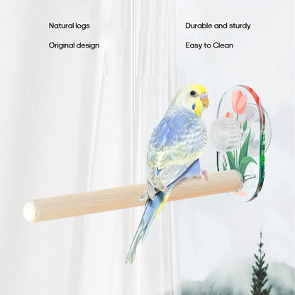 Parrot Acrylic Suction Cup Perch Pet Toy Non Slip for Small Medium Parrots