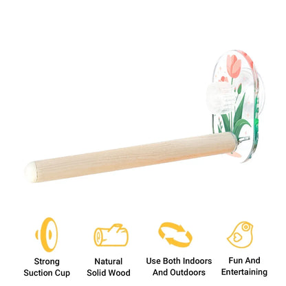 Parrot Acrylic Suction Cup Perch Pet Toy Non Slip for Small Medium Parrots