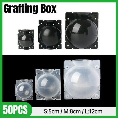 50pcs Plant Rooting Device High Pressure Grafting Box for Seedling Branch Garden - Clear M-50PCS - Mekamart Australia