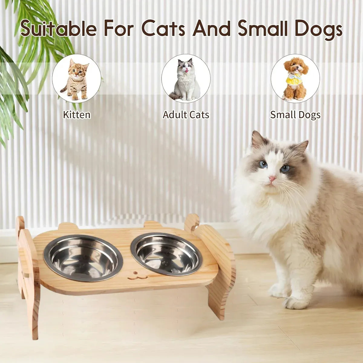 Pet Bowl Anti Tip Double Bowl Pet Food Water Bowl For Home Daily Use Easy Clean