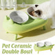 Cat Bowl Ceramic Double Bowl Non Slip Food Safe Durable for Dry Wet Food Water