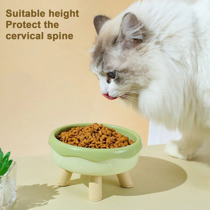 Cat Food Water Bowl Non Slip Raised Pet Feeding Dish Elevated Feeder Cats - Green