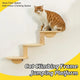 Solid Wood Wall Mounted Cat Climbing Tree Rack Platform Space Capsule Bed Shelf - Mekamart Australia