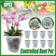 10xClear Plastic Orchid Pots with Holes for Phalaenopsis Root Aeration - Mekamart Australia