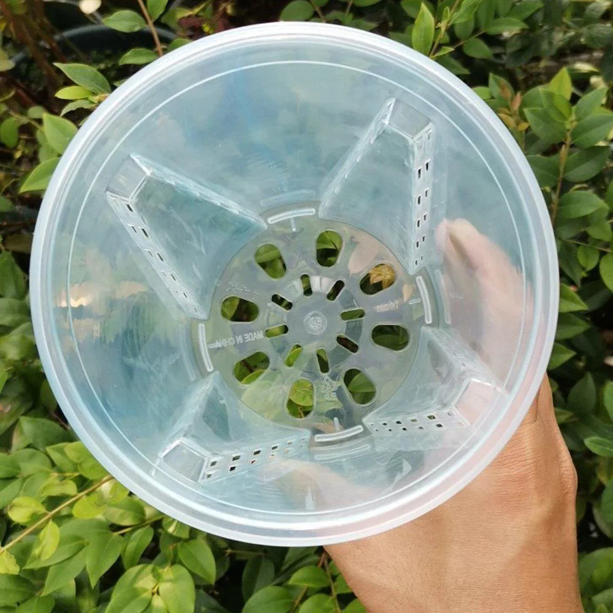 10xClear Plastic Orchid Pots with Holes for Phalaenopsis Root Aeration - Mekamart Australia