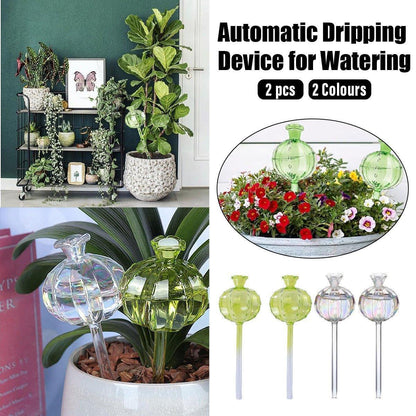 2PCS Automatic Glass Watering Cactus Plant Flower Self Drip Irrigation Tool - Green - Mekamart Australia