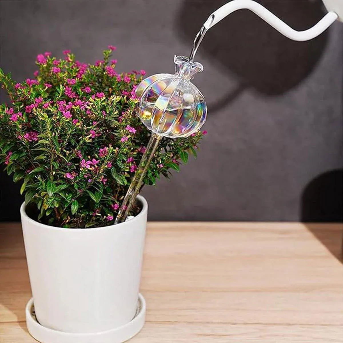 2PCS Automatic Glass Watering Cactus Plant Flower Self Drip Irrigation Tool - Green - Mekamart Australia