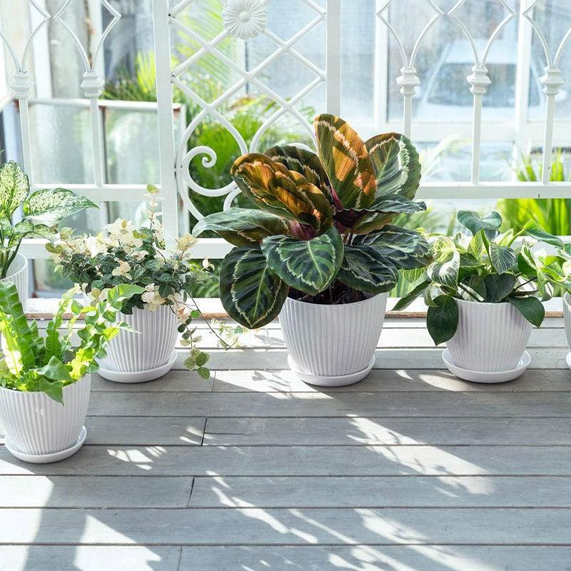 6PCS Simple Plastic Round Plant Pots Vertical Stripes Flower Pot Green Gardening - White - Mekamart Australia
