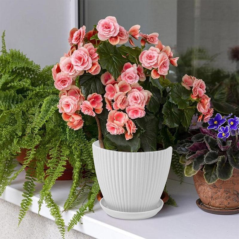 6PCS Simple Plastic Round Plant Pots Vertical Stripes Flower Pot Green Gardening - White - Mekamart Australia