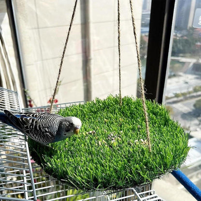 Parrot Turf Hammock Climbing Toy for Hamster Pet Bed Hanging Swing for Small Pet - Quadrate