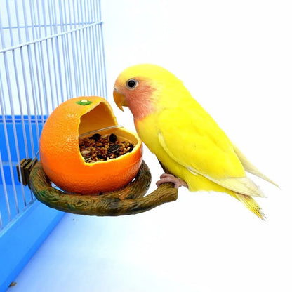 Parrot Feeding Bowl Fruit Shaped Water Food Container Dish Cage Bird Feeder Cup - Pumpkin