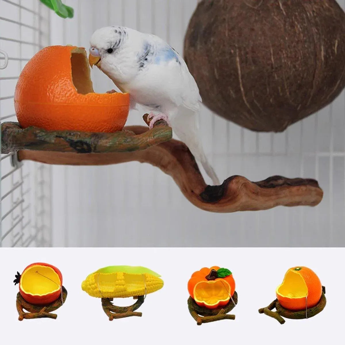 Parrot Feeding Bowl Fruit Shaped Water Food Container Dish Cage Bird Feeder Cup - Pomegranate