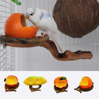 Parrot Feeding Bowl Fruit Shaped Water Food Container Dish Cage Bird Feeder Cup - Pomegranate