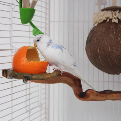 Parrot Feeding Bowl Fruit Shaped Water Food Container Dish Cage Bird Feeder Cup - Pomegranate