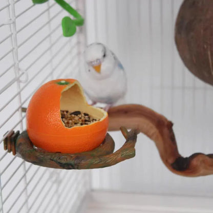 Parrot Feeding Bowl Fruit Shaped Water Food Container Dish Cage Bird Feeder Cup - Pomegranate