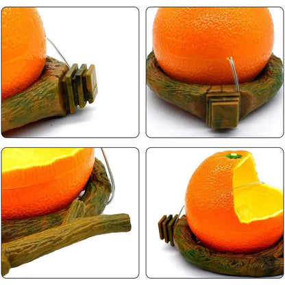 Parrot Feeding Bowl Fruit Shaped Water Food Container Dish Cage Bird Feeder Cup - Pomegranate