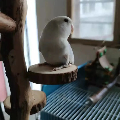 Parrot Stand Squirrel Training Swing Pet Stand Toy Small Pet Exercise Play