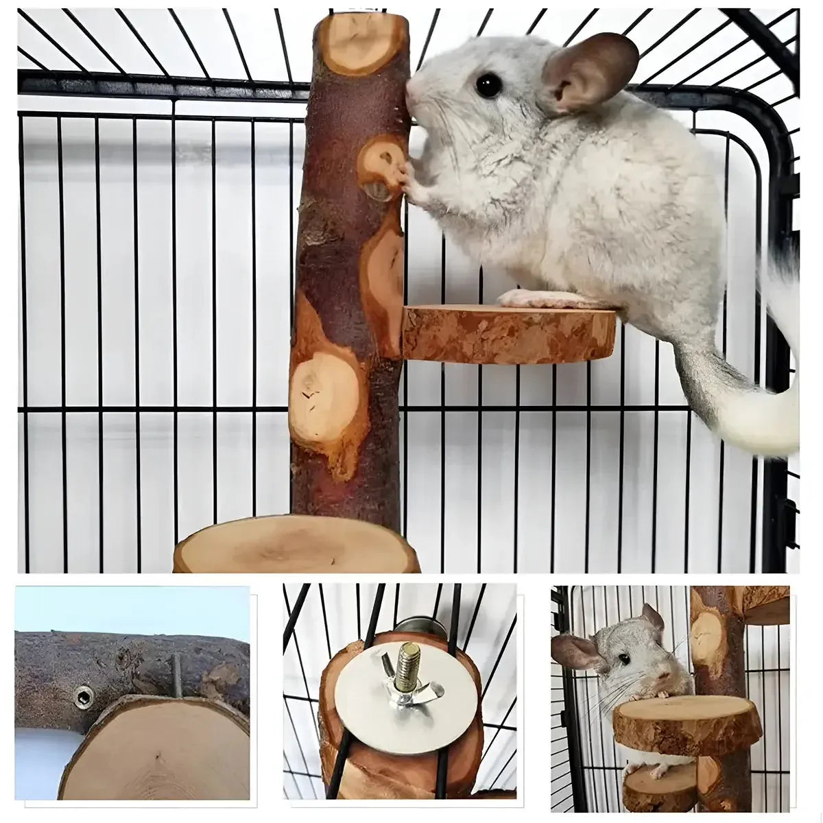 Parrot Stand Squirrel Training Swing Pet Stand Toy Small Pet Exercise Play