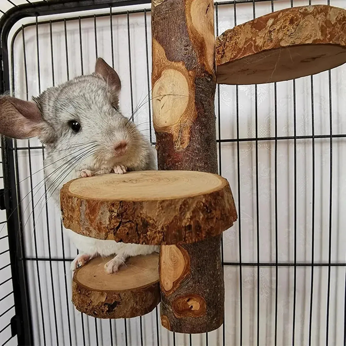 Parrot Stand Squirrel Training Swing Pet Stand Toy Small Pet Exercise Play